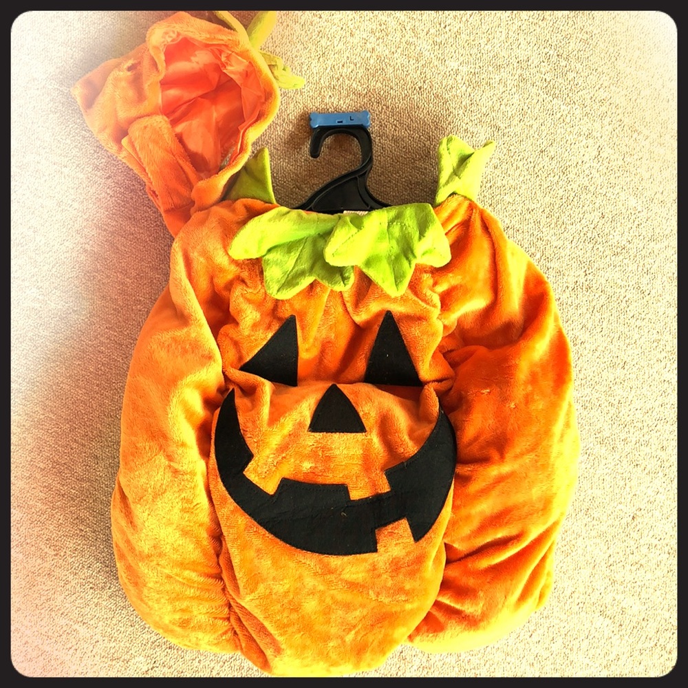 Dog Halloween Pumpkin costume
